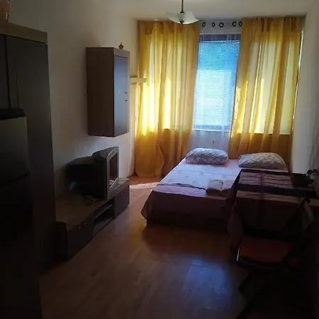 Apartment апартмент паисий *